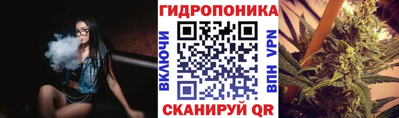 Бошки марихуана VHQ  закладка  OMG ссылки  Сольвычегодск 